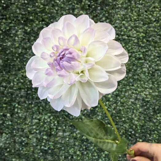 Vero flower shop