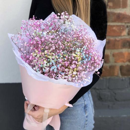 Gypsophila