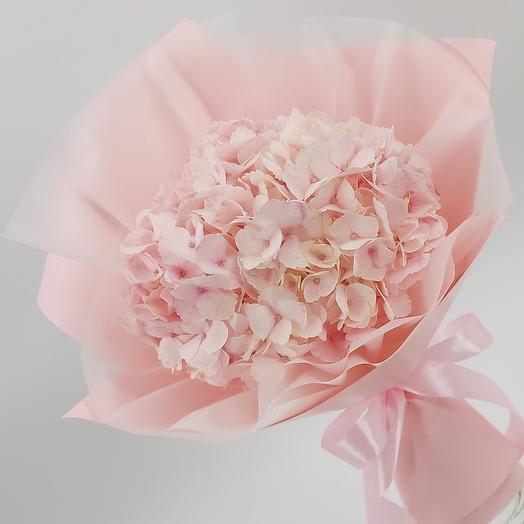 Розовая гортензия 🌸
