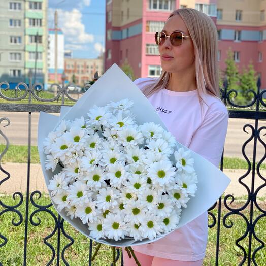 Ромашки