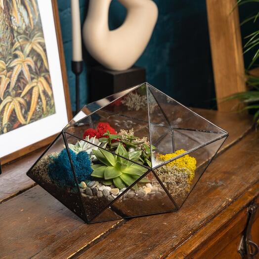 Florarium "Boat" succulents
