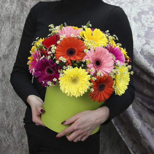 21 gerbera mix with chamomile in a box