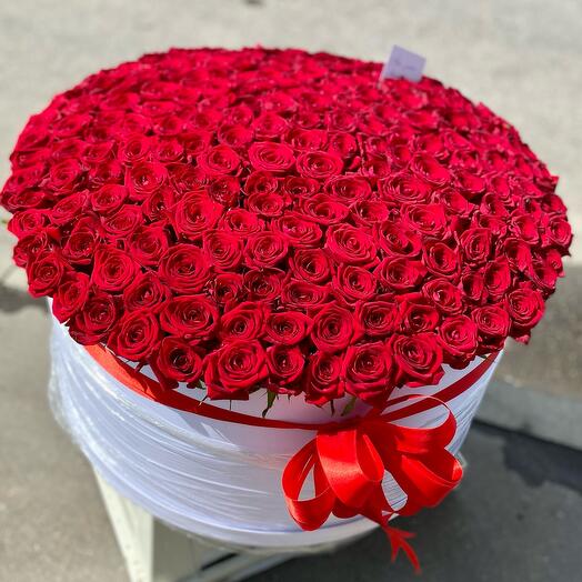 201 roses in a box
