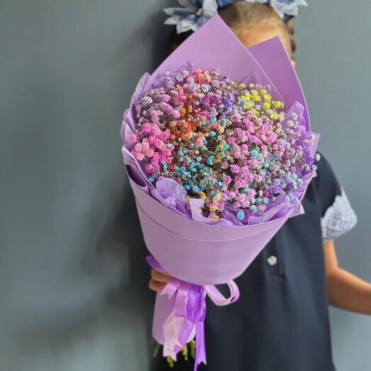 Радужная гипсофила