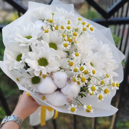 Ромашки