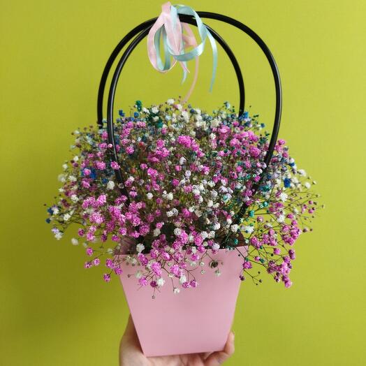 Gypsophila in a box