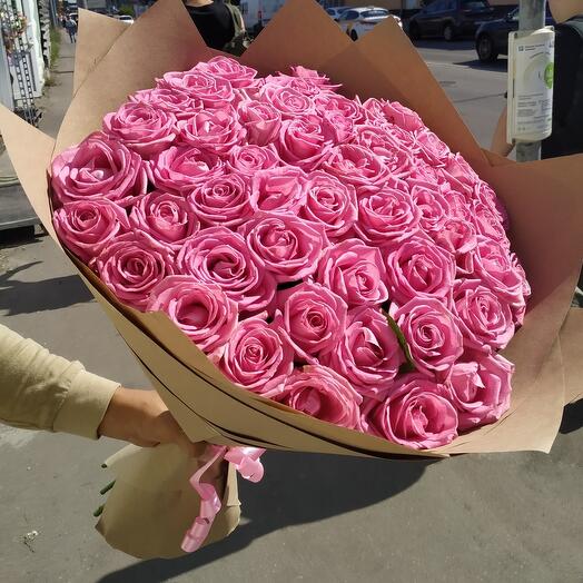 51 rosa Rosa