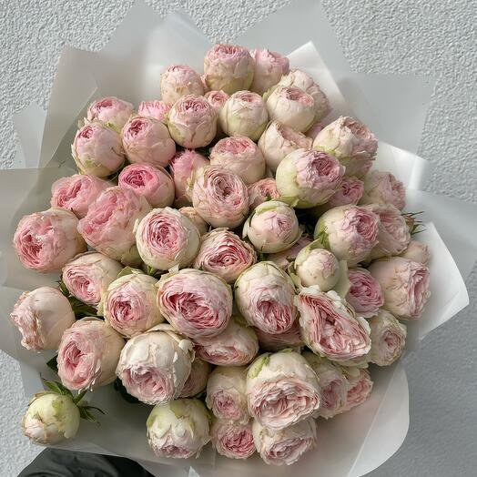 Bush peony roses Mansfield Park