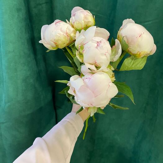 White peony