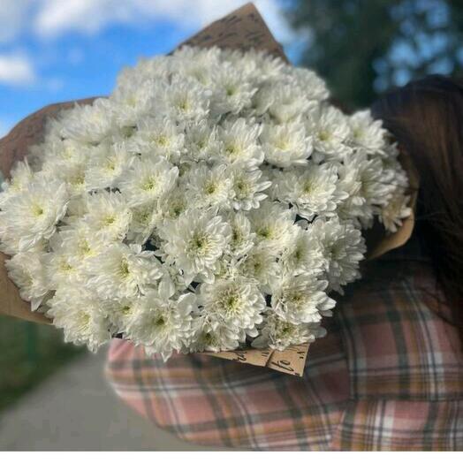Моно букет из хризантем