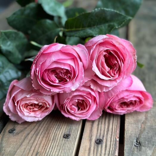 Rosas peonías