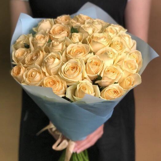 Rosas 29