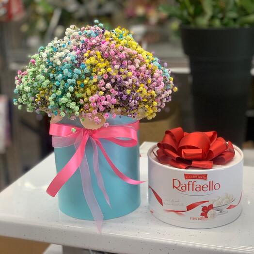Rainbow gypsophila in a box