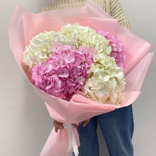Bouquet of hydrangeas