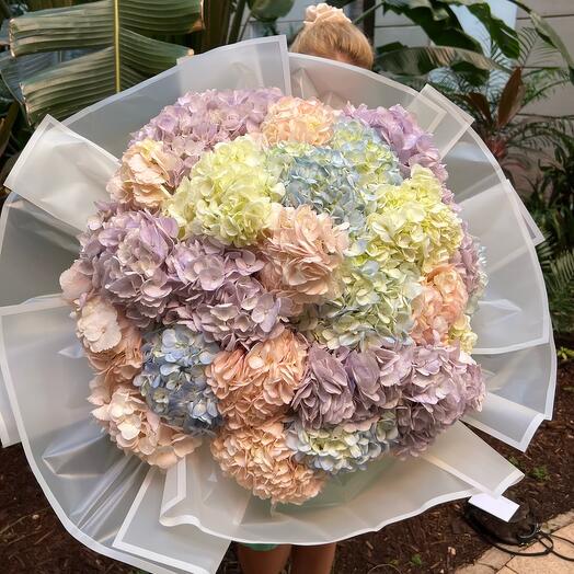Mix of hydrangeas
