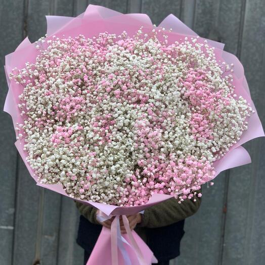 Gypsophila Mix