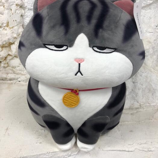 Cat Tai