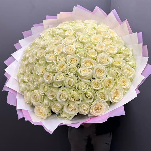 Rosa blanca