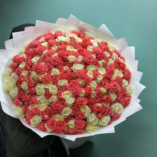 Роза и кустовая роза