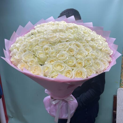 Rose White