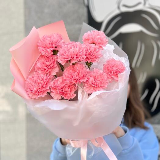 11 pink terry dianthuses (carnations) in a package