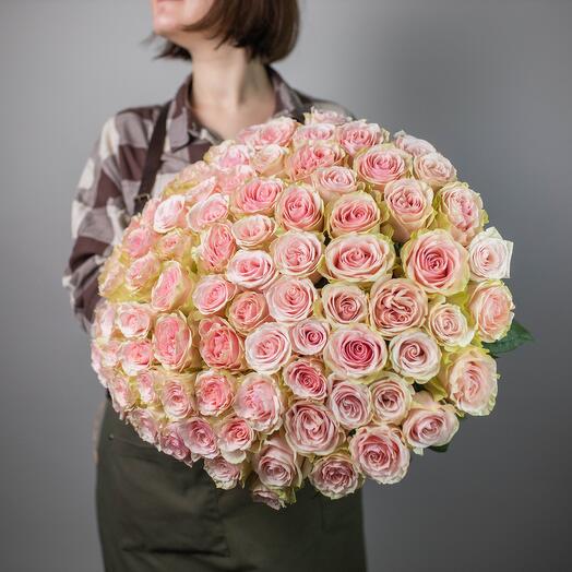 101 rosas tiernas