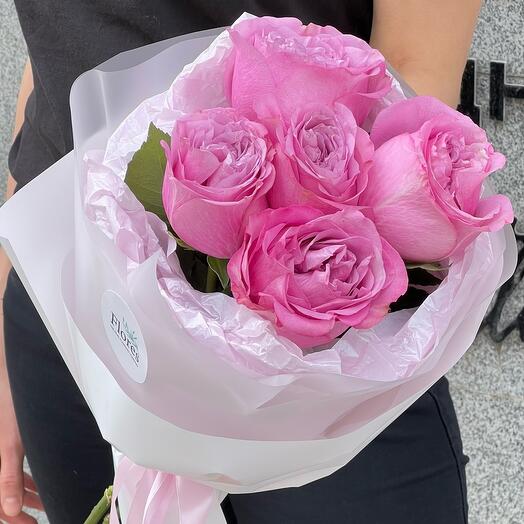 5 pink peony-shaped QUEENS CROWN roses in a package