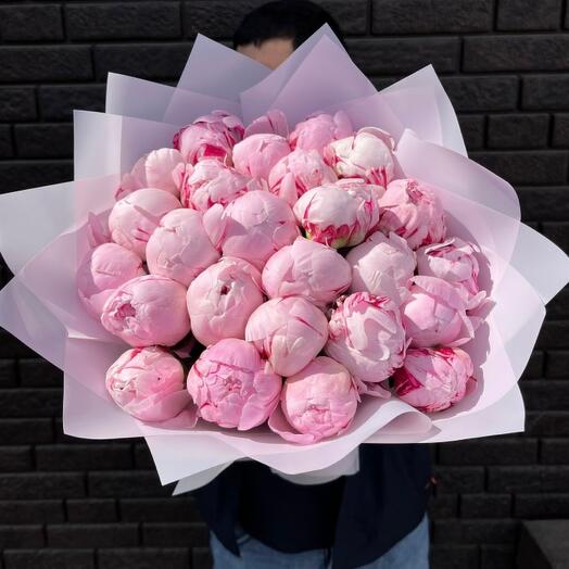 Sarah Bernhardt's Peonies ( 25 )