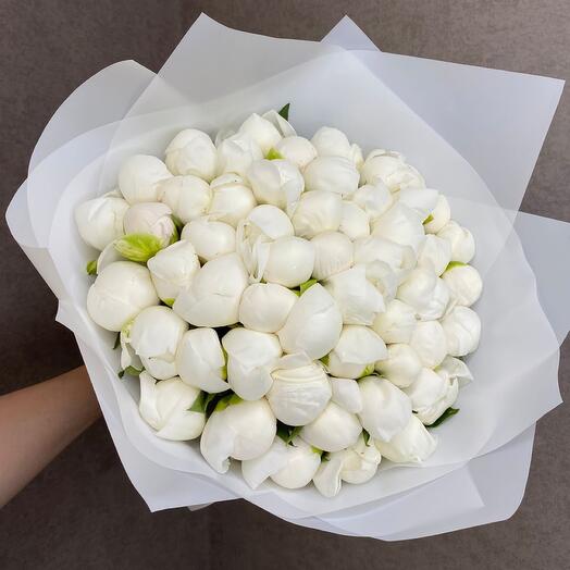 51 peony