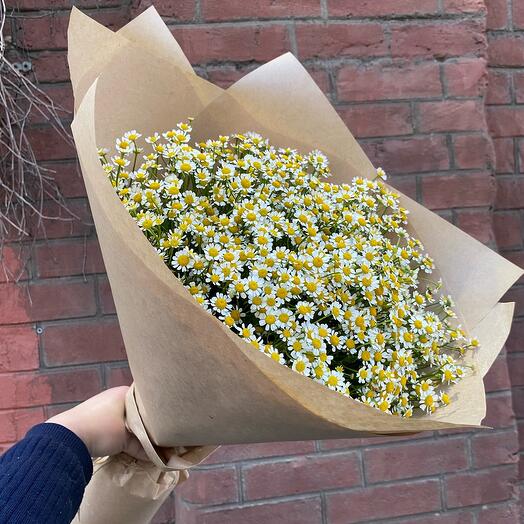 daisies