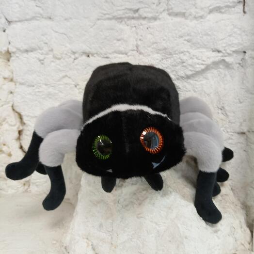 Spider