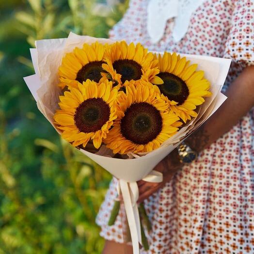 Подсолнухи 💛