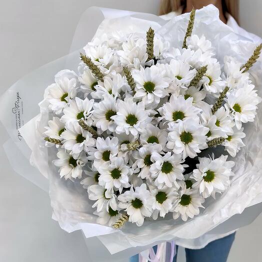 Bouquet of white chrysanthemum field flowers with wheat