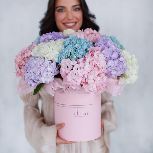15 HORTENSIAS EN UNA CAJA DE SOMBREROS 649