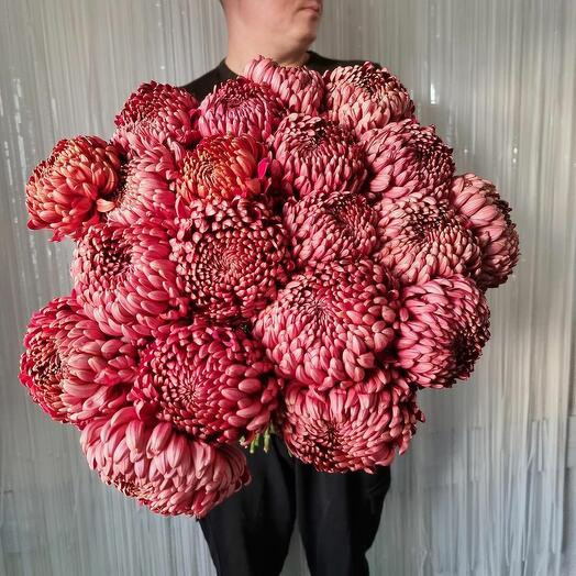 Хризантемы шаровидные