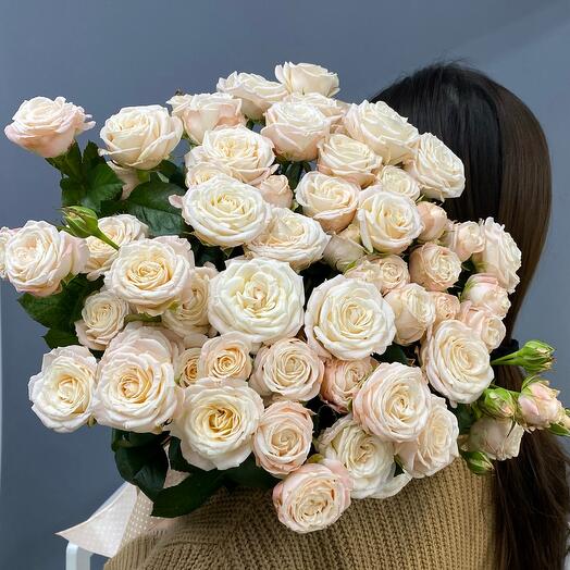 Bush roses cream