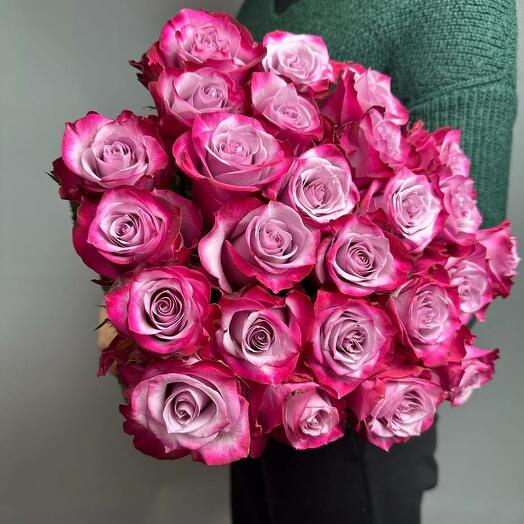 25 roses Ecuador Deep Purple 50 cm