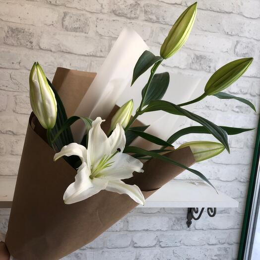 Лилия королевская