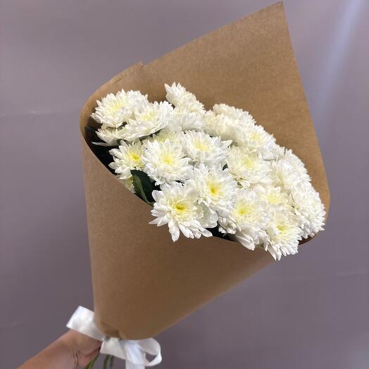 Bush chrysanthemum Baltic