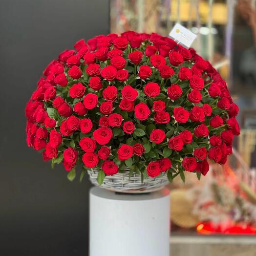 301pcs of Red Roses in a large basket