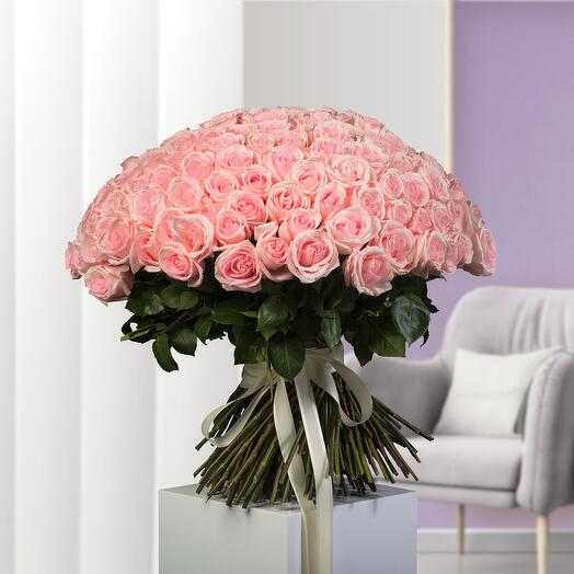201 Light Pink Roses