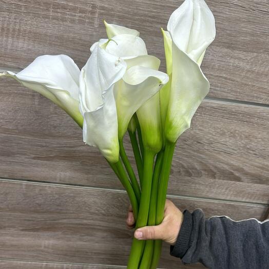 7 КАЛЛА