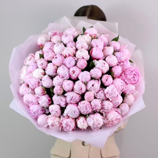 75 ароматных розовых пионов Сара Бернар. Большой букет 313 Kimbirly Flowers