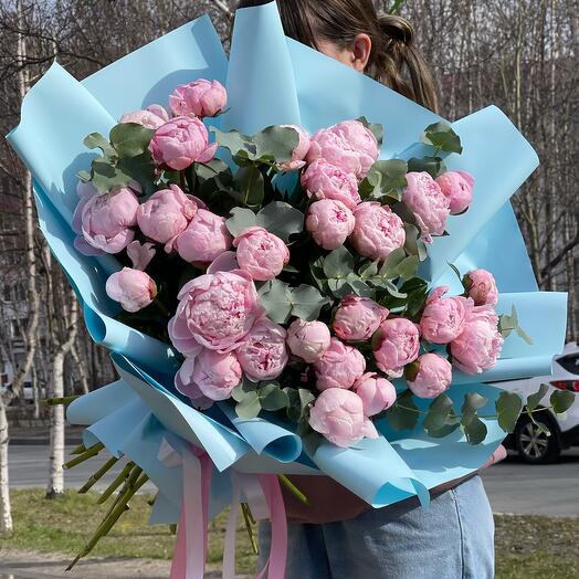 Пионы 🌸