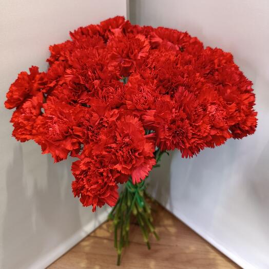 Гвоздика красная Голландия 30 штук