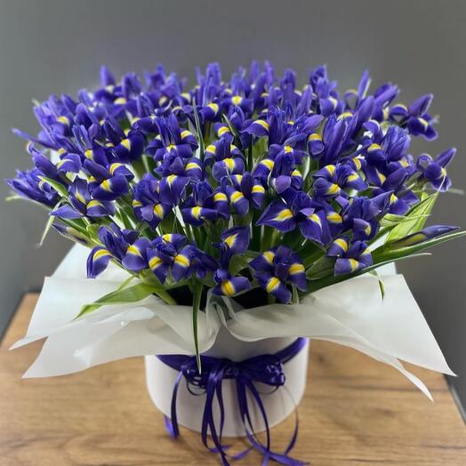 An iris in a box