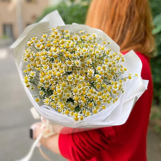 Букет кустовых ароматных ромашек