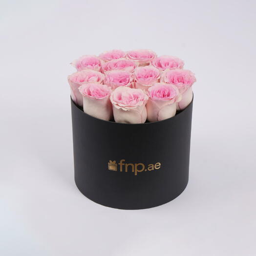 12 Pink Rose in Box