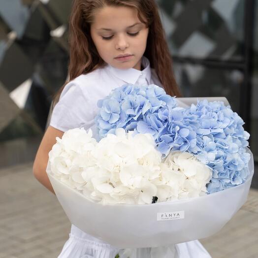 Hydrangea Monobucket