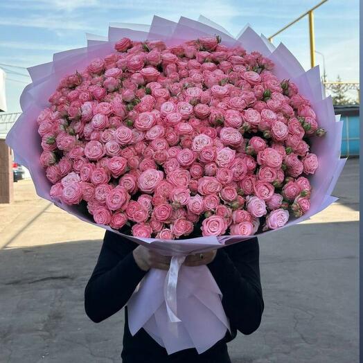 101 ПИОНАВИДНАЯ КУСТОВАЯ РОЗА